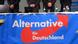 Deutschland Wahlkampf Sachsen-Anhalt AfD Wahlkampfabschluss Deutschland Wahlkampf Sachsen-Anhalt AfD Wahlkampfabschluss