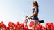 Niederlande Frau mit Fahrrad im Tulpenfeld Niederlande Frau mit Fahrrad im Tulpenfeld