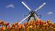 طواحين الهواء وأزهار التوليب من أكثر الأشياء المعبرة عن هولندا طواحين الهواء وأزهار التوليب من أكثر الأشياء المعبرة عن هولندا