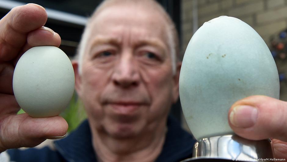 5 things you probably didn′t know eggs can do | All media content | DW