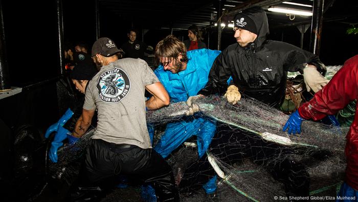 Pressebilder Sea Shepherd Global