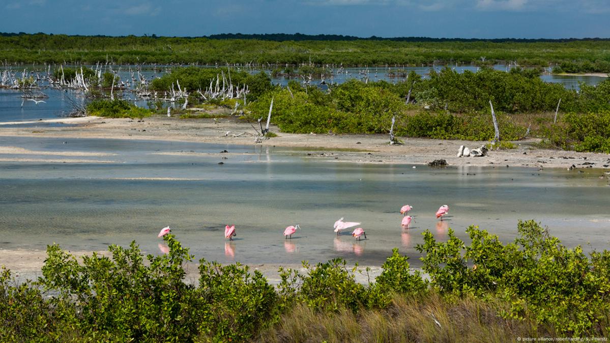 UNESCO announces new biosphere reserves – DW – 03/21/2016