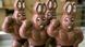 Muskulöse Schokoladen-Osterhasen Muskulöse Schokoladen-Osterhasen