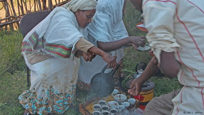 Äthiopien: Kaffee-Anbau (Foto: James Jeffrey/DW)