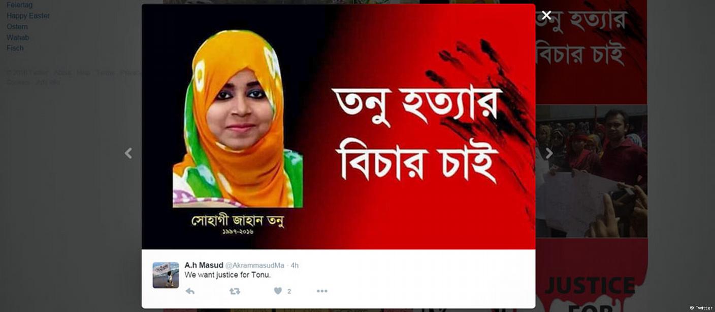 Kattalar uchun porno filmlar Men mushukni yalab, kino kormoqchiman.