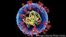  Herpes simple tipo 2, uno de los virus más comunes que atacan al organismo humano.