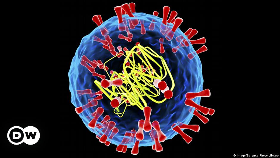 Wie bekommt man den Herpesvirus aus dem Körper?