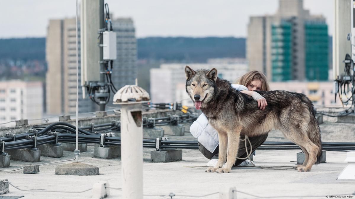 Фотогалерея: Кто получит немецкого 