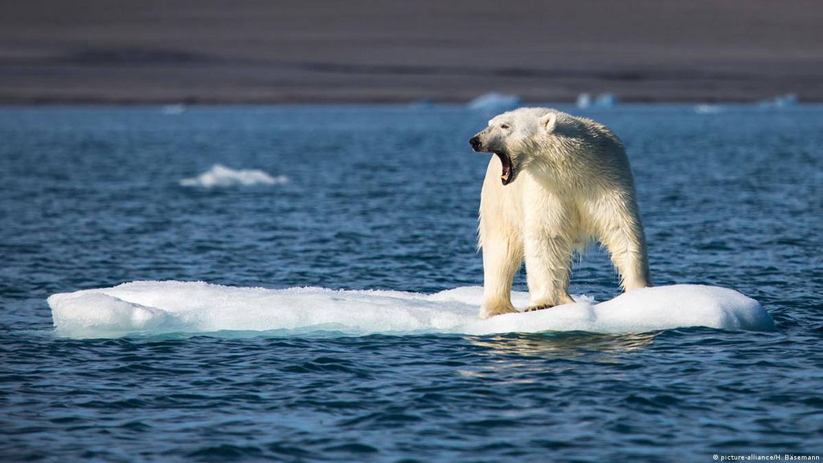 Arctic warming: scientists alarmed by 'crazy' temperature rises