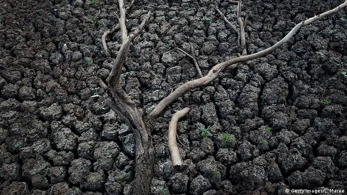 Dried-out creekbed and bare tree branches (Getty Images/L. Maree)