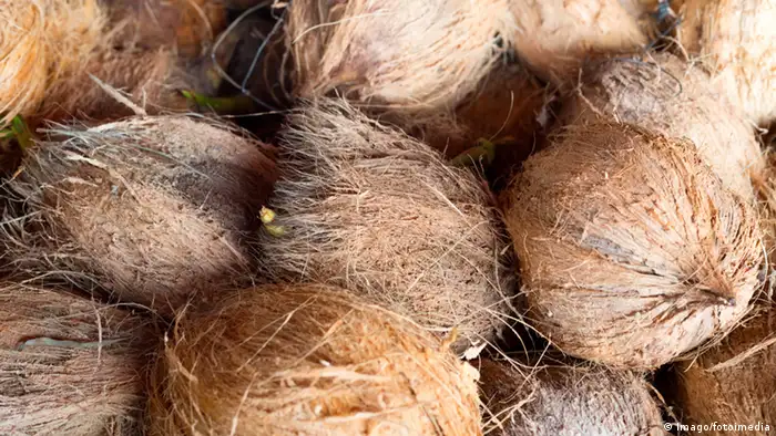 Coconuts (Picture: Imago/fotoimedia)