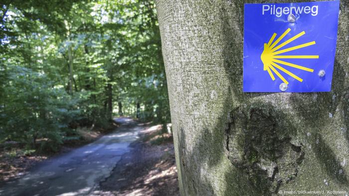 Plakette mit Jakobsmuschel an einem Baumstamm auf dem Jakobsweg in Deutschland. (Imago/blickwinkel/J. Kottmann)