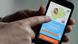 App ShareTheMeal App ShareTheMeal