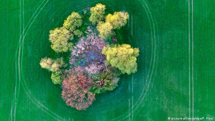 Бранденбург