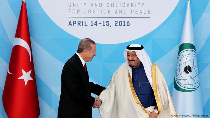 Türkei Gipfeltreffen der Organisation für Islamische Zusammenarbeit in Istanbul (Getty Images/AFP/B. Ozkan)