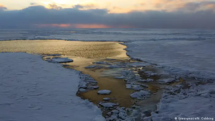 Spitzbergen Meereis (Foto: DW)