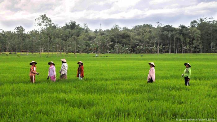 Jangan Biarkan Ayam Mati Di Lumbung Refleksi Karya 2017 Unika News Unika