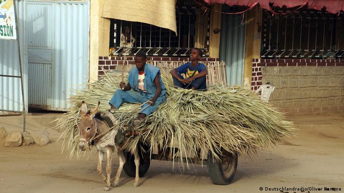 Jugendliche auf dem Land in Eritrea Foto: Deutschlandradio/Oliver Ramme