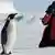 Человек фотографирует королевского пингвина в Антарктиде
