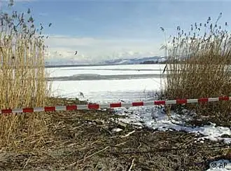 瑞士一侧博登湖畔的禽流感防区