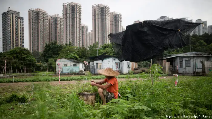 BdW Global Ideas Hongkong - Landwirtschaft und Aktivisten