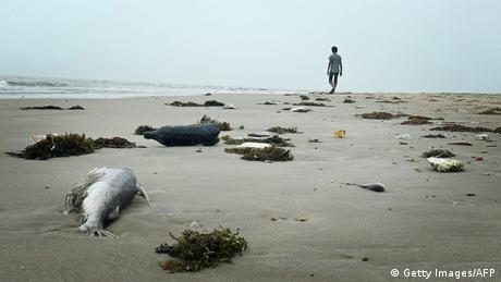 Виетнам от доста години насам преживява икономически бум Но когато
