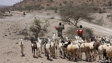 Somali Äthiopien Shinile-Zone Dürre erschwert Lebensbedingungen