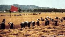 China Kulurrevolution Landarbeit