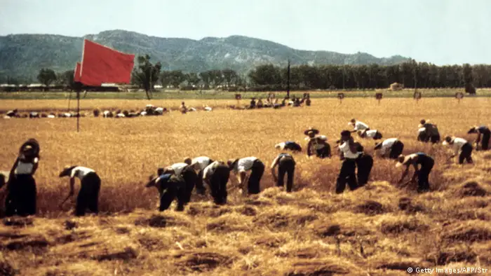China Kulurrevolution Landarbeit