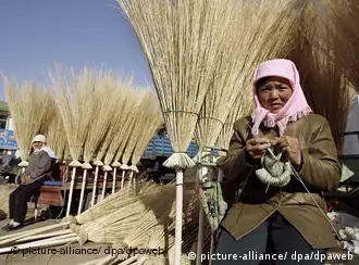 “新农村运动”能否改善中国农民的生存条件？ 