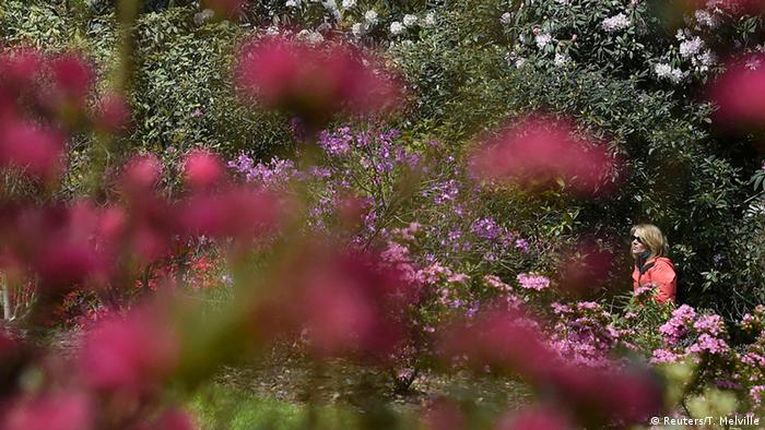 Οι κήποι του Kew στα νοτιοδυτικά της βρετανικής πρωτεύουσας είναι από τους παλαιότερους βοτανικούς κήπους στον κόσμο. Οι Βρετανοί γενικά φημίζονται για τους καλοφτιαγμένους κήπους τους και θεωρούνται ειδικοί. Κανείς στην Ευρώπη δεν έχει τόσους όμορφους κήπους και πάρκα όσο εκείνοι. 