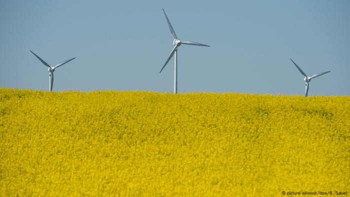 Drei Windkraftanlagen in einem Rapsfeld in Deutschland