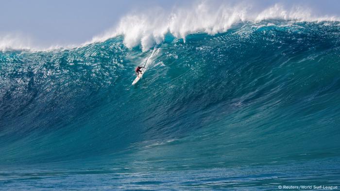 perfect surf wave