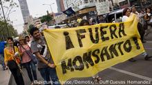 Mexiko Protest gegen Monsanto