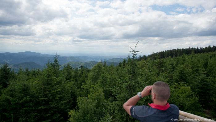 Ein Mann schaut auf die Landschaft des Nordschwarzwalds