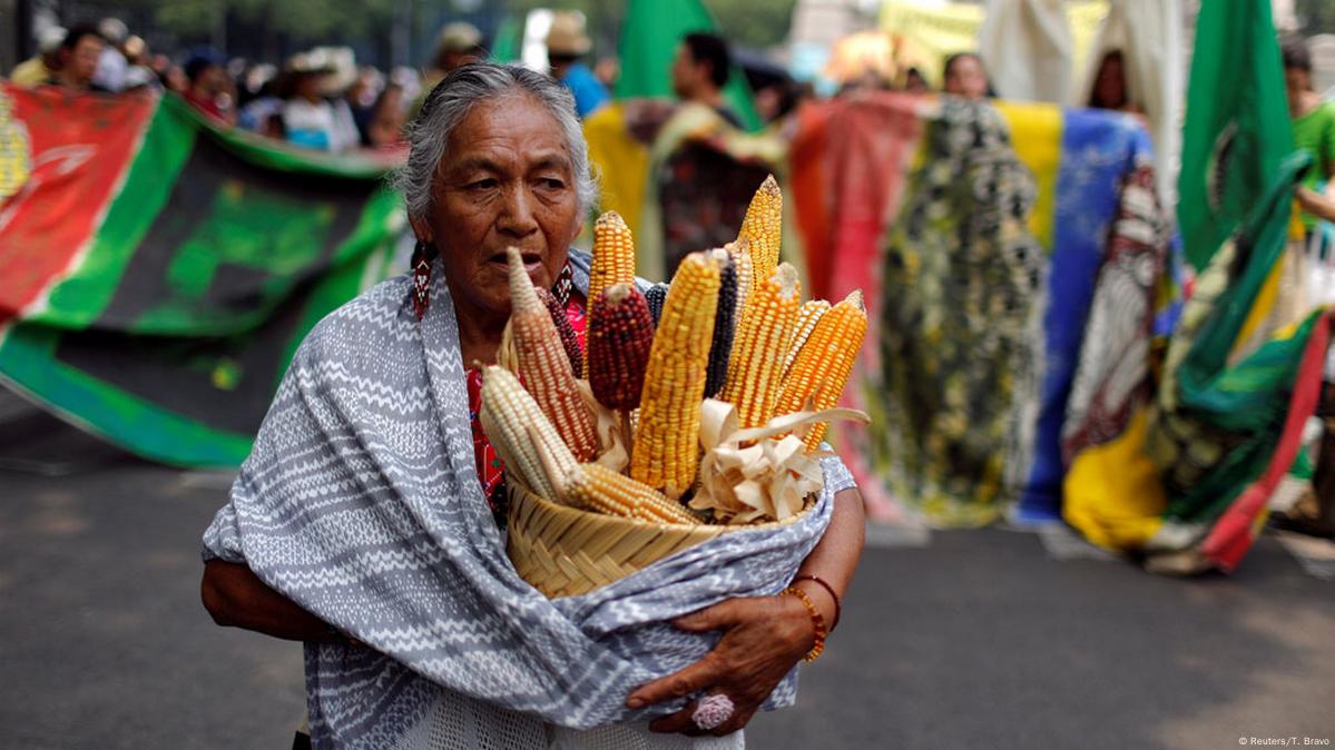 Protesto no México contra a Monsanto, que produz a semente de milho geneticamente modificado.