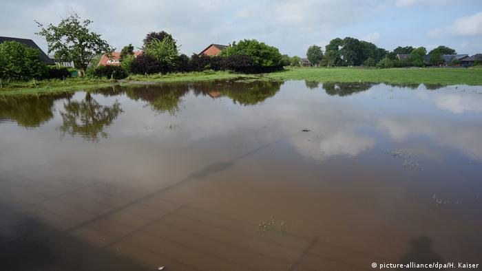 Низовье Рейна, Хамминкельн