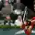 Frankreich Tennis Novak Djokovic gegen Tomas Berdych bei den French Open Paris