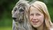 Afghanischer Windhund Afghanischer Windhund
