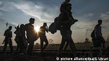 «مجارستان مهاجران را بدون بررسی تقاضای شان اخراج می کند»