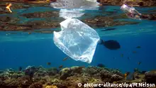 海洋塑料垃圾成灾