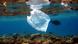 Ein Fisch schwimmt nahe einer Plastiktüte im Roten Meer Ein Fisch schwimmt nahe einer Plastiktüte im Roten Meer