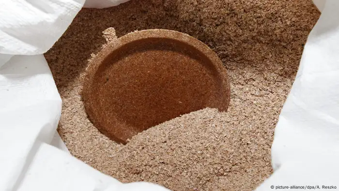 Biodegradable plate made of bran (picture-alliance/dpa/A. Reszko)