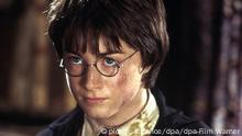 Zauberlehrling Harry Potter und die Kammer des Schreckens