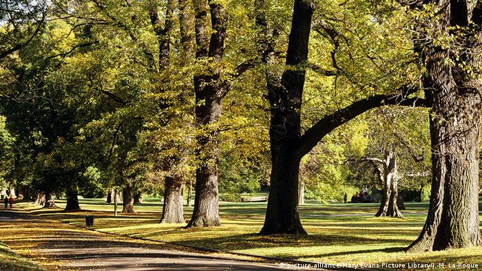 Australien Fitzroy Gardens Melbourne