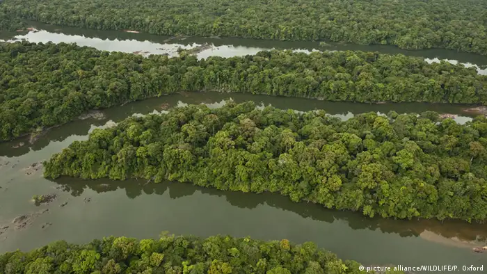 Guayana, Fluss Essequibo 