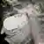Röntgenbild des Kopfes mit Granate (copyright: CENTRAL MILITARY HOSPITAL COLUMBIA)
