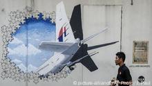 Privatunternehmen startet erneute Suche nach MH370