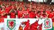 UEFA EURO 2016 Wales gegen Slowakei Fans UEFA EURO 2016 Wales gegen Slowakei Fans