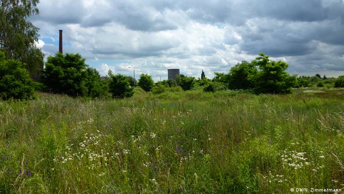Dessau: A field where apartments once stood